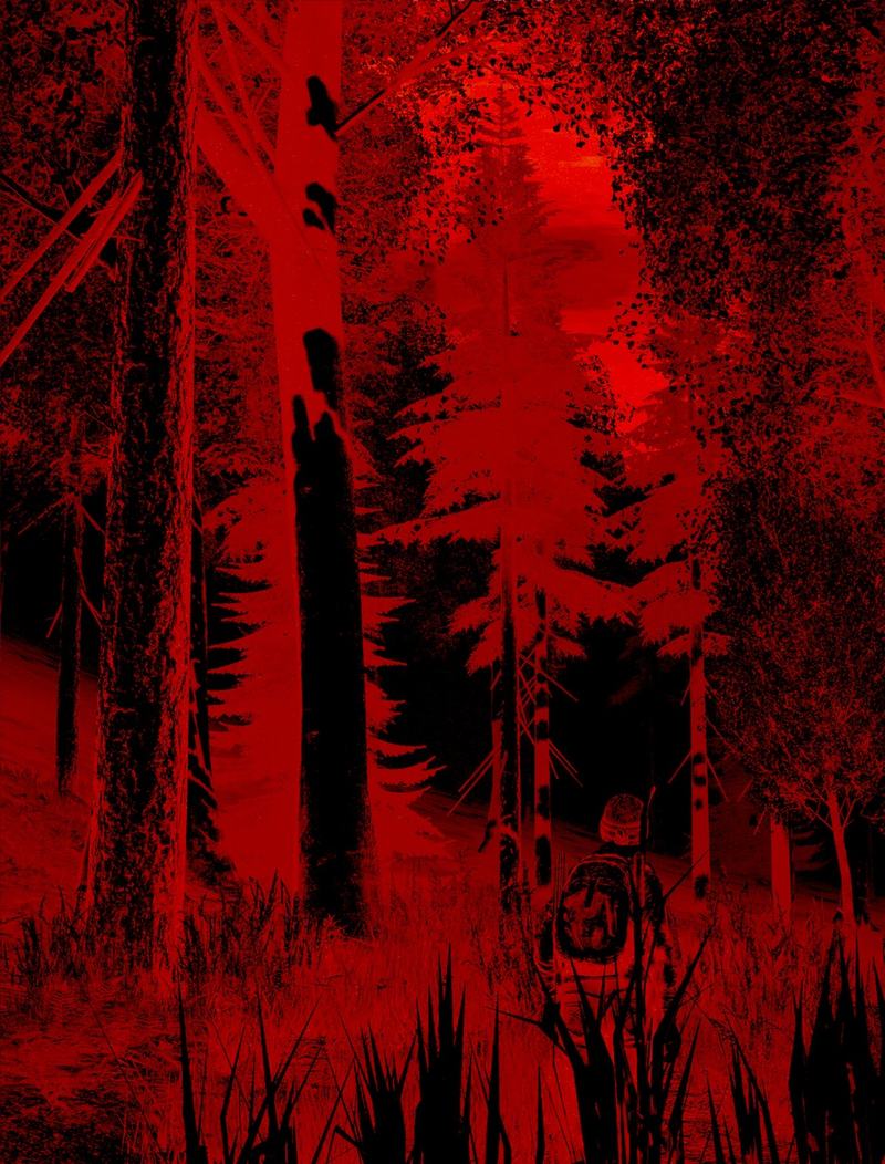 Illustration for article titled ​Photos From The Frontlines of DayZ